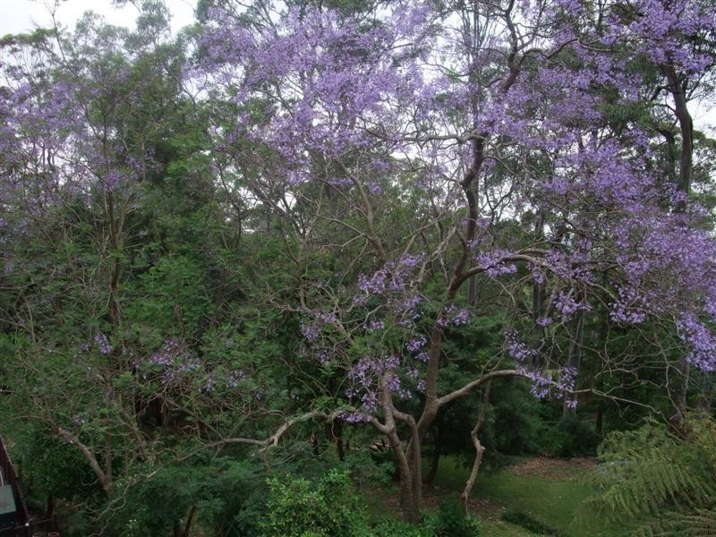 16 Florence Avenue, Denistone NSW 2114