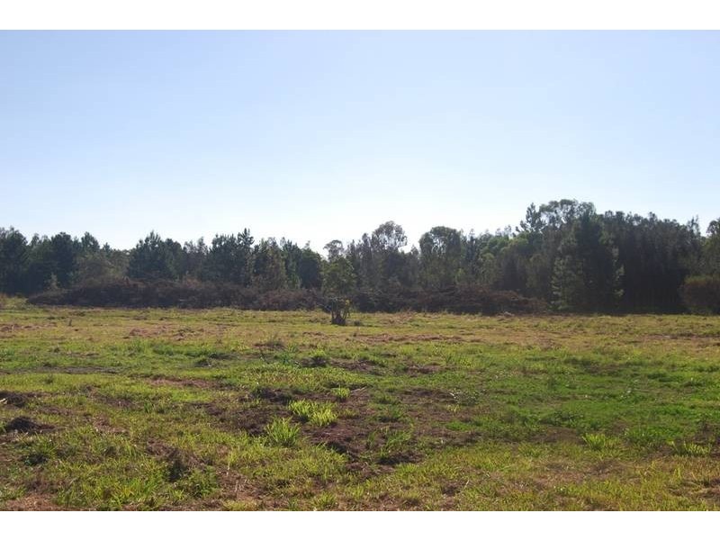 295 Beach Road, Evans Head NSW 2473