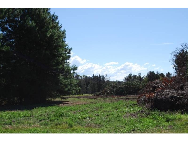 295 Beach Road, Evans Head NSW 2473