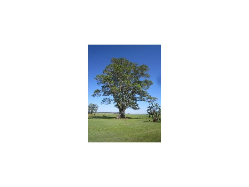 190 Swan Bay New Italy Road, Swan Bay NSW 2471
