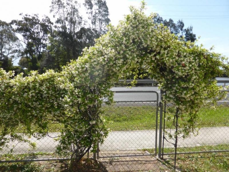 135 River Street, Woodburn NSW 2472