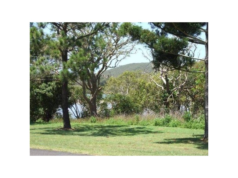 Mangrove Street, Evans Head NSW 2473