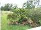 15 Williams Road, Woodburn NSW 2472