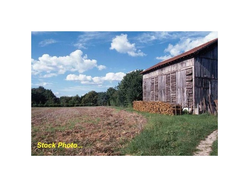 7 Casurina Drive, Swan Bay NSW 2471