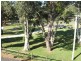 4/18-22 Oak Street, Evans Head NSW 2473