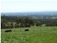 1855 Westernport Road, Ripplebrook VIC 3818