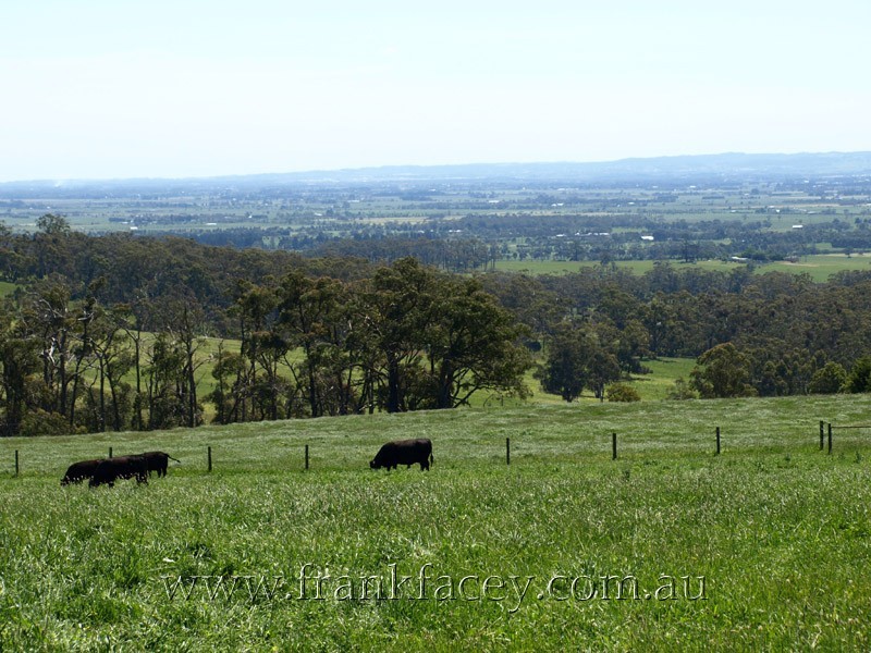 1855 Westernport Road, Ripplebrook VIC 3818
