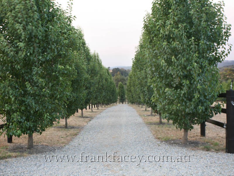 70 Hayseys Road, Narre Warren East VIC 3804