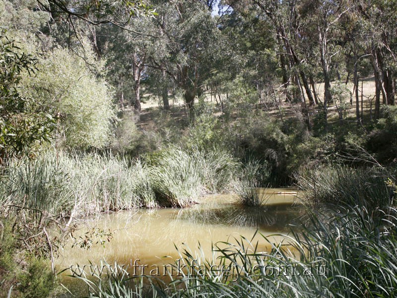 20 Huxtable Road, Pakenham Upper VIC 3810