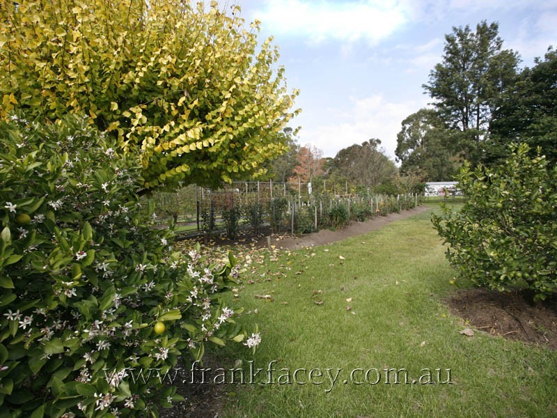 24 Beaumont Road, Berwick VIC 3806