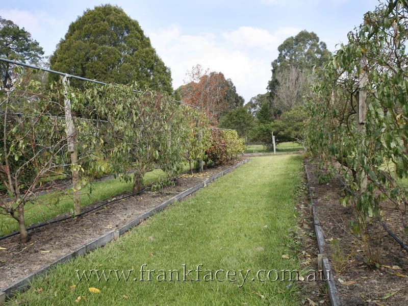 24 Beaumont Road, Berwick VIC 3806