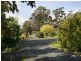 24 Beaumont Road, Berwick VIC 3806