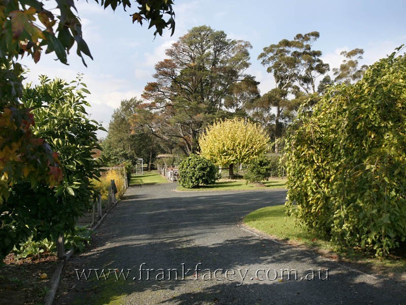 24 Beaumont Road, Berwick VIC 3806