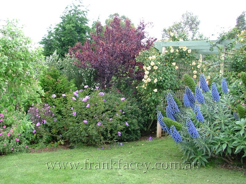 125 Huxtable Road, Pakenham Upper VIC 3810