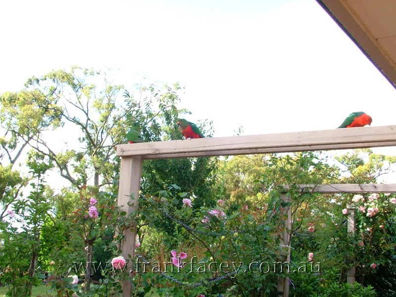 125 Huxtable Road, Pakenham Upper VIC 3810