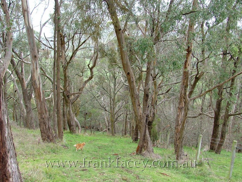 125 Huxtable Road, Pakenham Upper VIC 3810