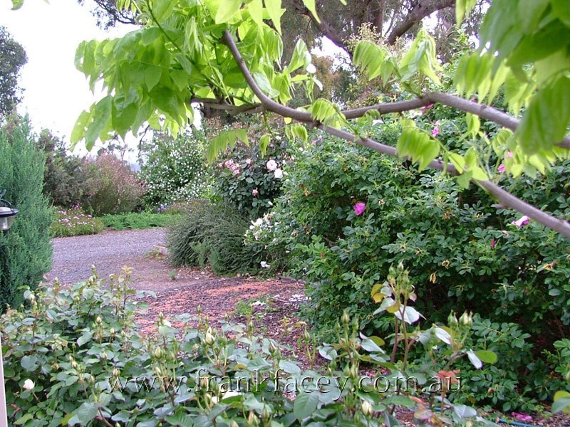 125 Huxtable Road, Pakenham Upper VIC 3810