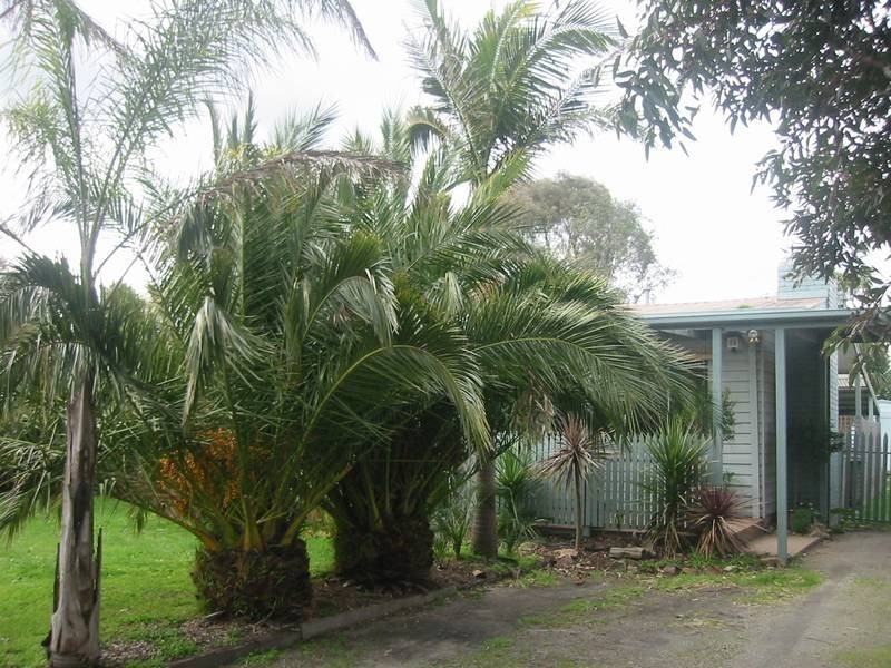 25 Station Street, Officer VIC 3809