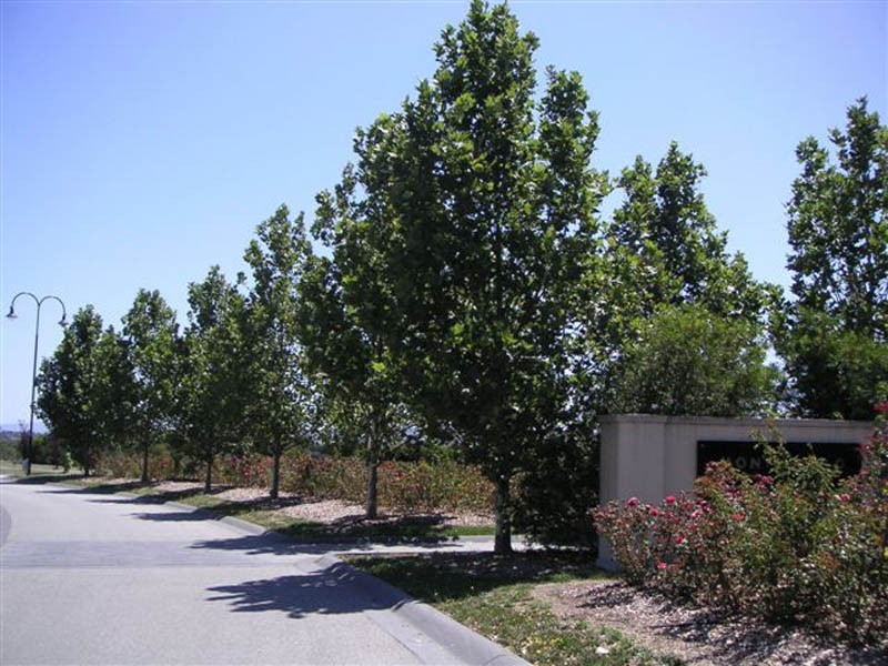 21 Locarno Place, Narre Warren South VIC 3805