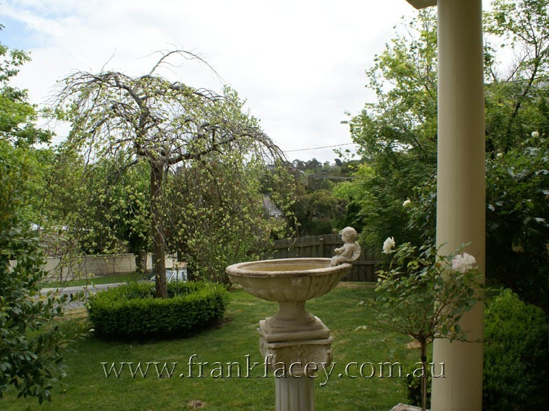 6 Miller Street, Berwick VIC 3806