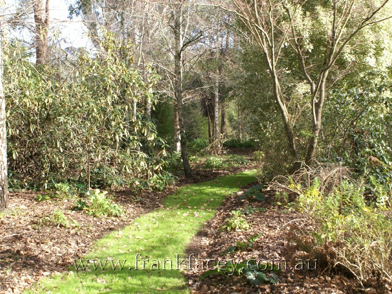 6 Boundary Road, Narre Warren East VIC 3804