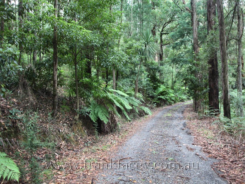 25 Aura Vale Road, Menzies Creek VIC 3159