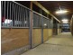 187 Split Rock Road, Beaconsfield Upper VIC 3808