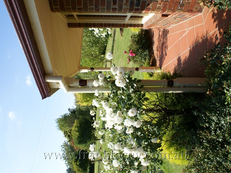 10 Farm Lane, Berwick VIC 3806