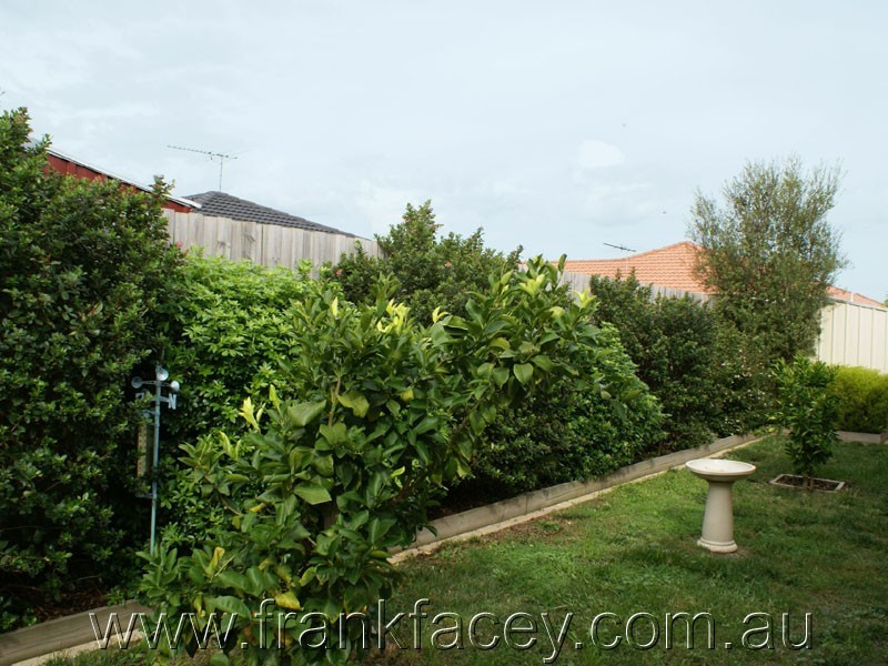 6 Drovers Retreat, Narre Warren South VIC 3805