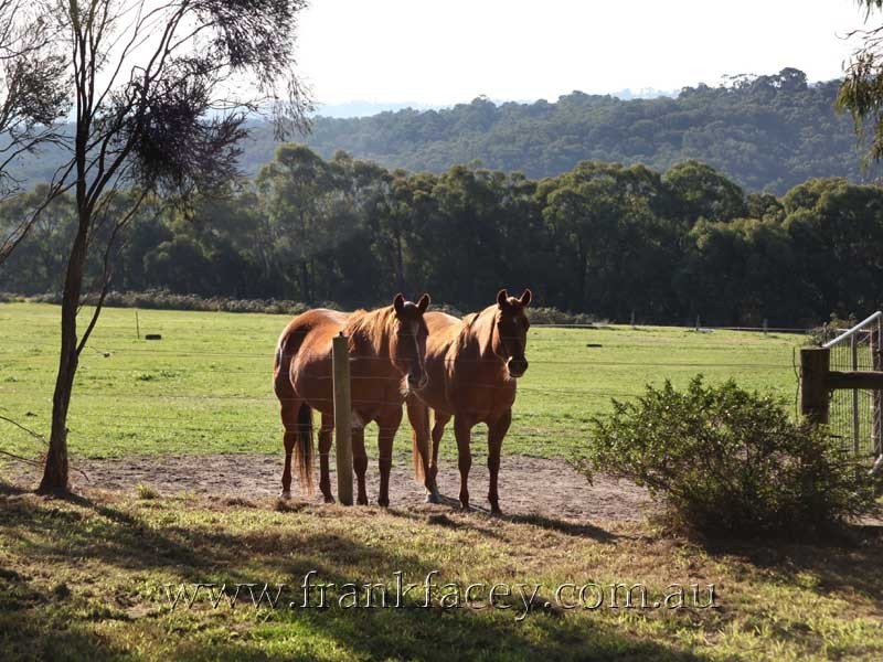 25 Walford Road, Beaconsfield Upper VIC 3808