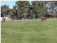 25 Walford Road, Beaconsfield Upper VIC 3808
