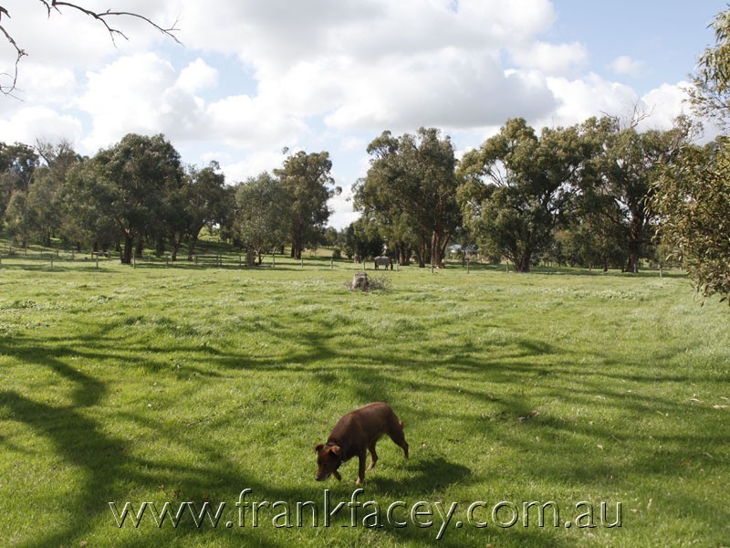 625 Brown Road, Officer VIC 3809