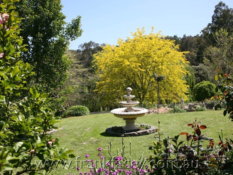 5 High St, Guys Hill VIC 3807