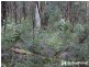 1645 Wellington Road, Belgrave South VIC 3160
