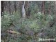 1645 Wellington Rd, Belgrave South VIC 3160