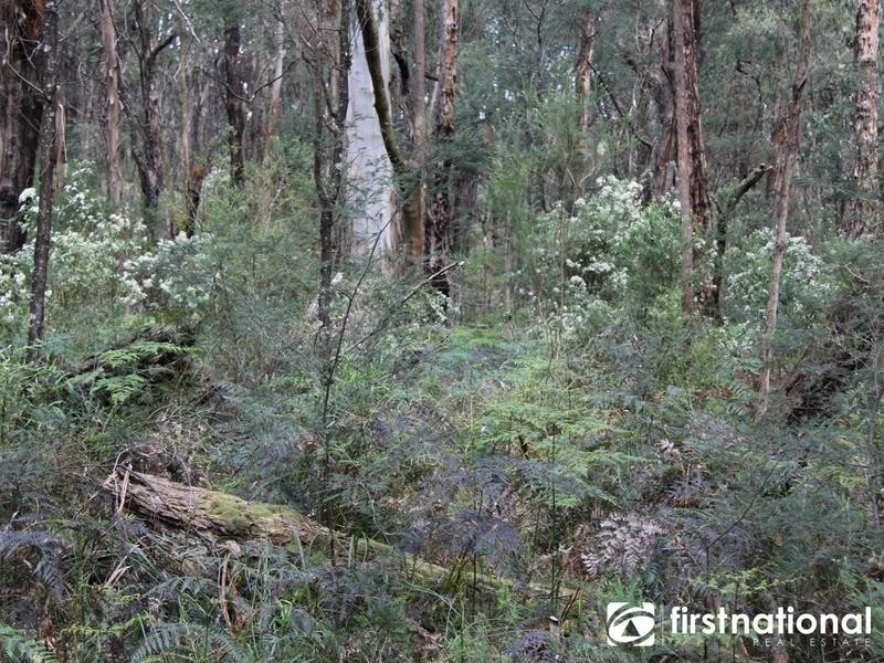1645 Wellington Rd, Belgrave South VIC 3160