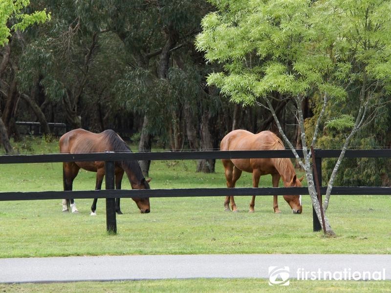 1645 Wellington Rd, Belgrave South VIC 3160