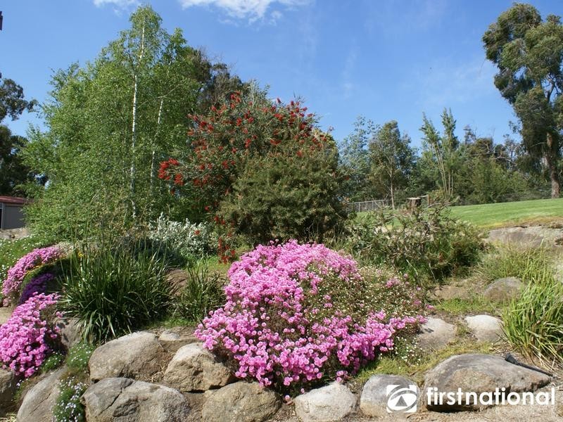 35 Carpenter Road, Beaconsfield Upper VIC 3808