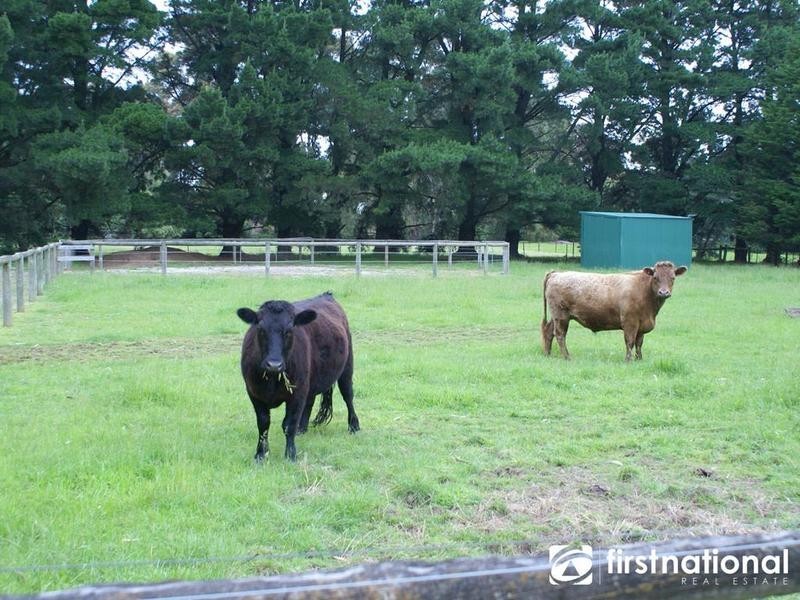 224 Harkaway Road, Harkaway VIC 3806