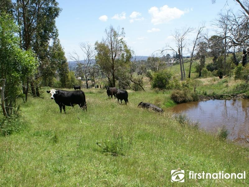 20 King Rd, Harkaway VIC 3806