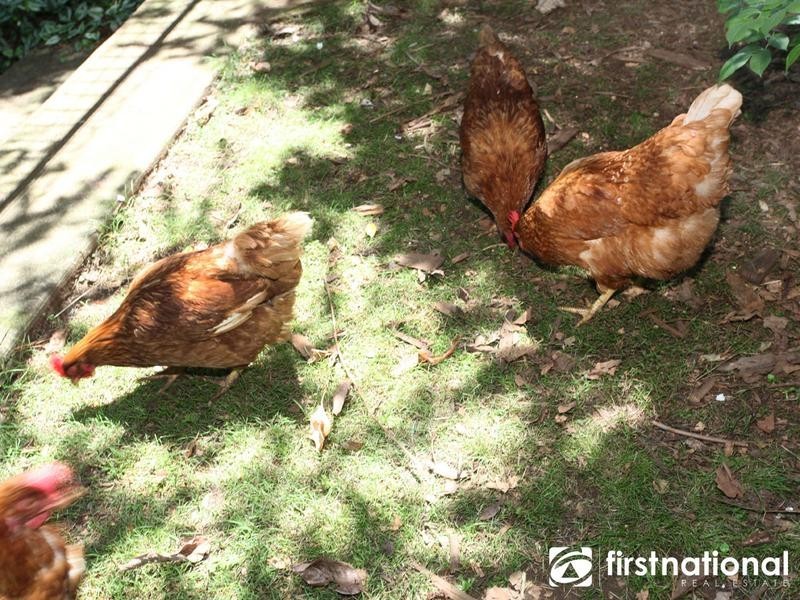 36 Brisbane Street, Berwick VIC 3806