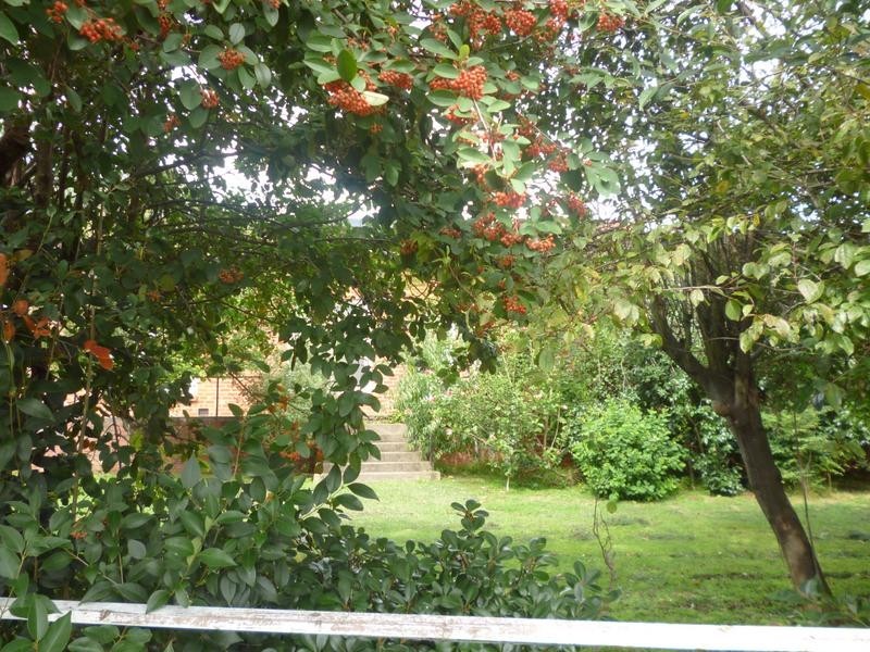 6 Roundhay Court, Berwick VIC 3806