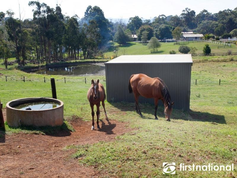 31 Halleur Road, Harkaway VIC 3806