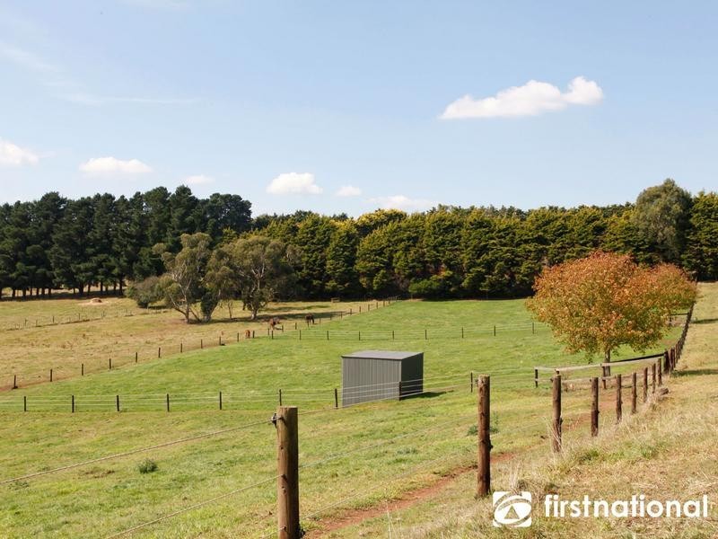 31 Halleur Rd, Harkaway VIC 3806