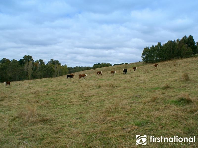 130 Hayseys Rd, Narre Warren East VIC 3804