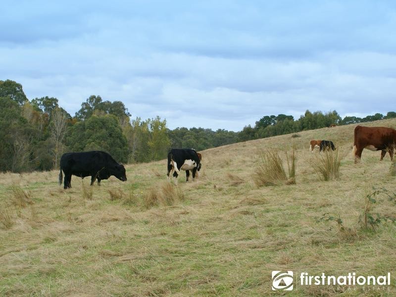 130 Hayseys Rd, Narre Warren East VIC 3804