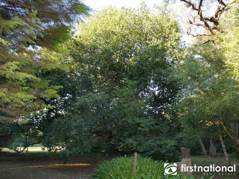 1965A Wellington Road, Menzies Creek VIC 3159