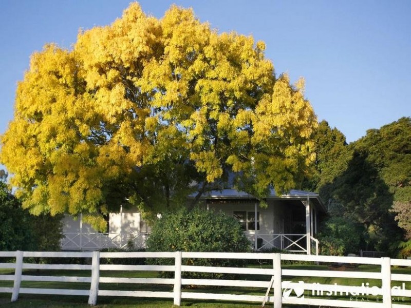 1965A Wellington Road, Menzies Creek VIC 3159