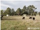 170 Forgarty Road, Tynong North VIC 3813