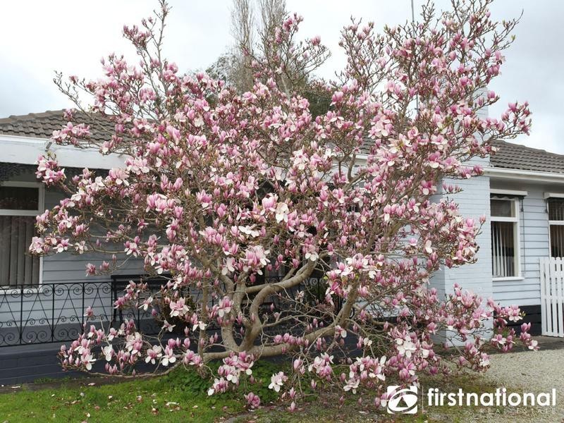 7 Gardiner Street, Berwick VIC 3806